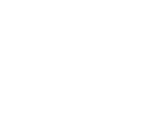100% Vegan certification logo